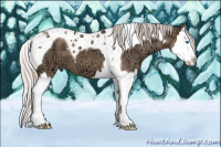 Horse Color:Silver Grullo Ice Splash Tobiano 