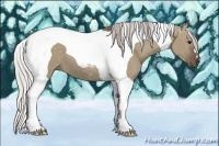 Horse Color:Silver Grullo Tobiano 