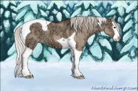 Horse Color:Silver Bay Ice Dun Splash Tobiano 
