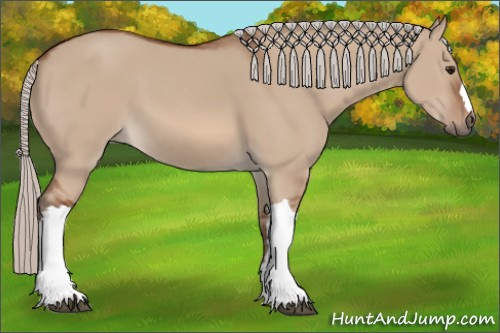 Horse Color: Silver Bay Dun 