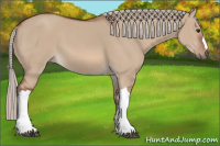 Horse Color:Silver Bay Dun 