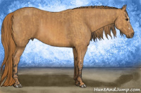 Horse Color:Buckskin Splash  Brindle