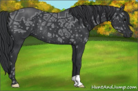 Horse Color:Brown Ice Rabicano 