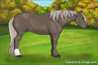 Horse Color:Silver Black 