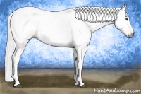 Horse Color:Gray Palomino