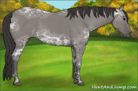 Horse Color:Smoky Grullo Ice Sabino 