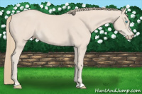 Horse Color:Smoky Creme Roan 