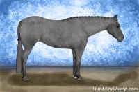 Horse Color:Blue Roan Blanket 