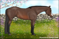 Horse Color:Bay Roan 