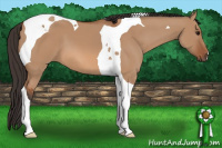 Horse Color:Bay Dun Tobiano 