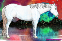 Horse Color:Chestnut Sabino Splash Tobiano Appaloosa