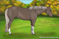 Horse Color:Silver Black Tobiano 