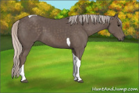 Horse Color:Silver Black Tobiano