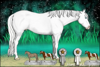 Horse Color:White Spotted Silver Classic Cream Champagne Pearl Dun Appaloosa 