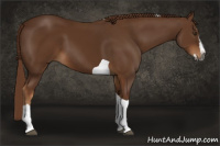 Horse Color:Gray Chestnut Splash Tobiano 