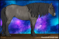 Horse Color:Grullo Rabicano 