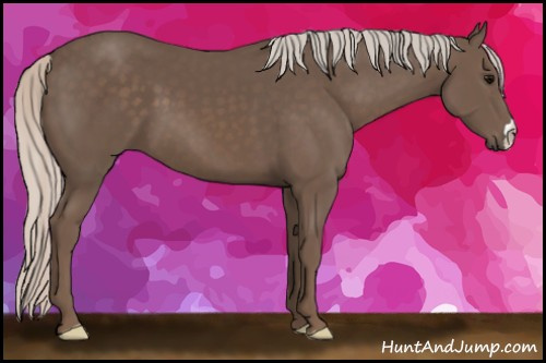 Horse Color:Silver Black 