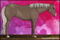 Horse Color:Silver Black 