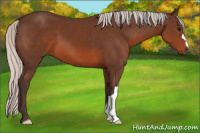 Horse Color:Silver Brown 