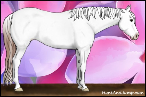 Horse Color: White Spotted Brown Varnish 