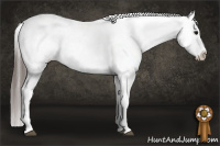 Horse Color:White Spotted Brown Appaloosa 