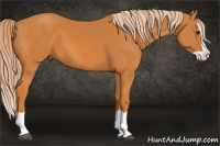 Horse Color:Chocolate Palomino Splash 