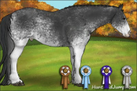 Horse Color:White Spotted Black