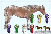 Horse Color:White Spotted Silver Bay Ice Splash Tobiano