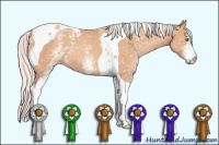 Horse Color:Unknown 