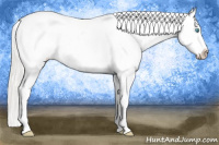 Horse Color:Cremello Appaloosa 
