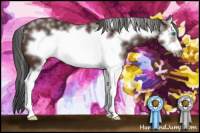 Horse Color:White Spotted Bay Splash Frame 