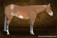 Horse Color:White Spotted Bay Frame 