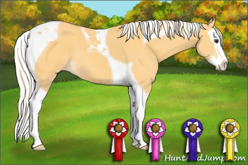 Horse Color: Palomino Splash Tobiano 