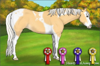 Horse Color:Palomino Splash Tobiano 