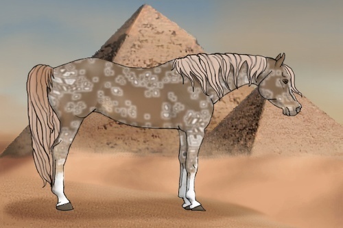 Horse Color:White Spotted Chocolate Palomino Ice 