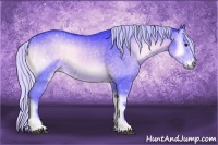 Horse Color:Watercolor Silver Blue Onyx Chinchilla