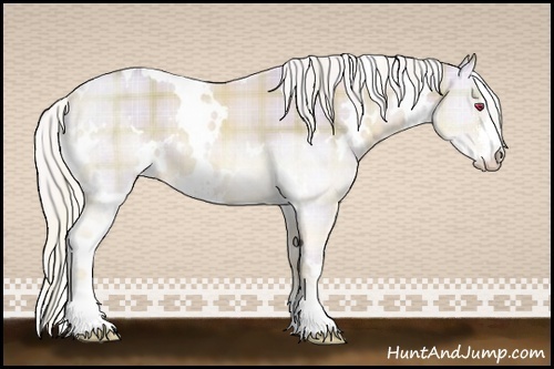Horse Color:Watercolor Plaid  White Spotted Liver Chestnut Chinchilla Sabino 