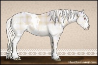 Horse Color:Watercolor Plaid White Spotted Liver Chestnut Chinchilla Sabino