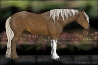 Horse Color:Silver Buckskin Sabino Tobiano