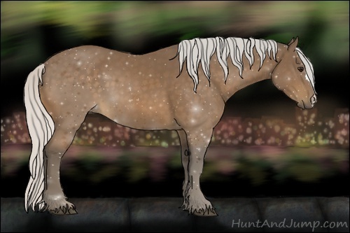 Horse Color:Silver Buckskin 