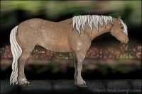 Horse Color:Silver Buckskin 