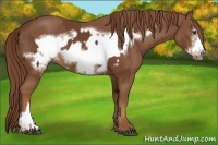 Horse Color:Chestnut Frame  and Chestnut Frame 
