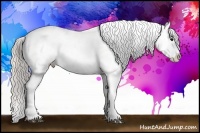 Horse Color:White Spotted Silver Black Tobiano Frame Appaloosa