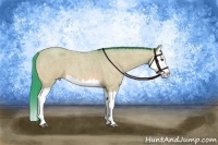 Horse Color:Watercolor Buckskin Roan Dun Splash 