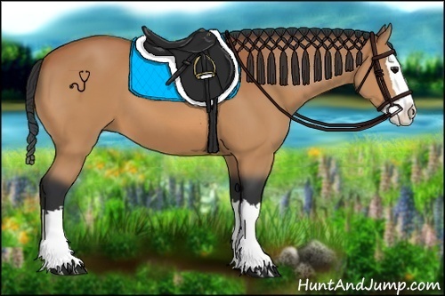 Horse Color:Bay Splash 
