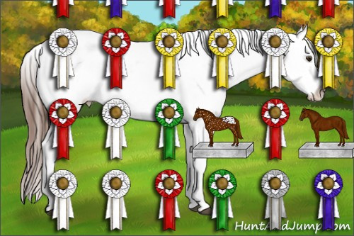 Horse Color:Chestnut Appaloosa 