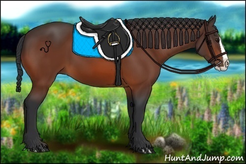 Horse Color:Bay Splash 