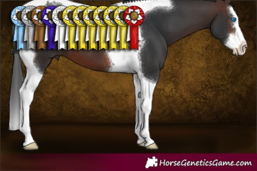 Horse Color:Brown Splash Tobiano 