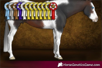 Horse Color:Brown Splash Tobiano 
