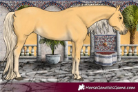 Horse Color:Palomino 